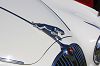 IMG_0014_thumb.png
