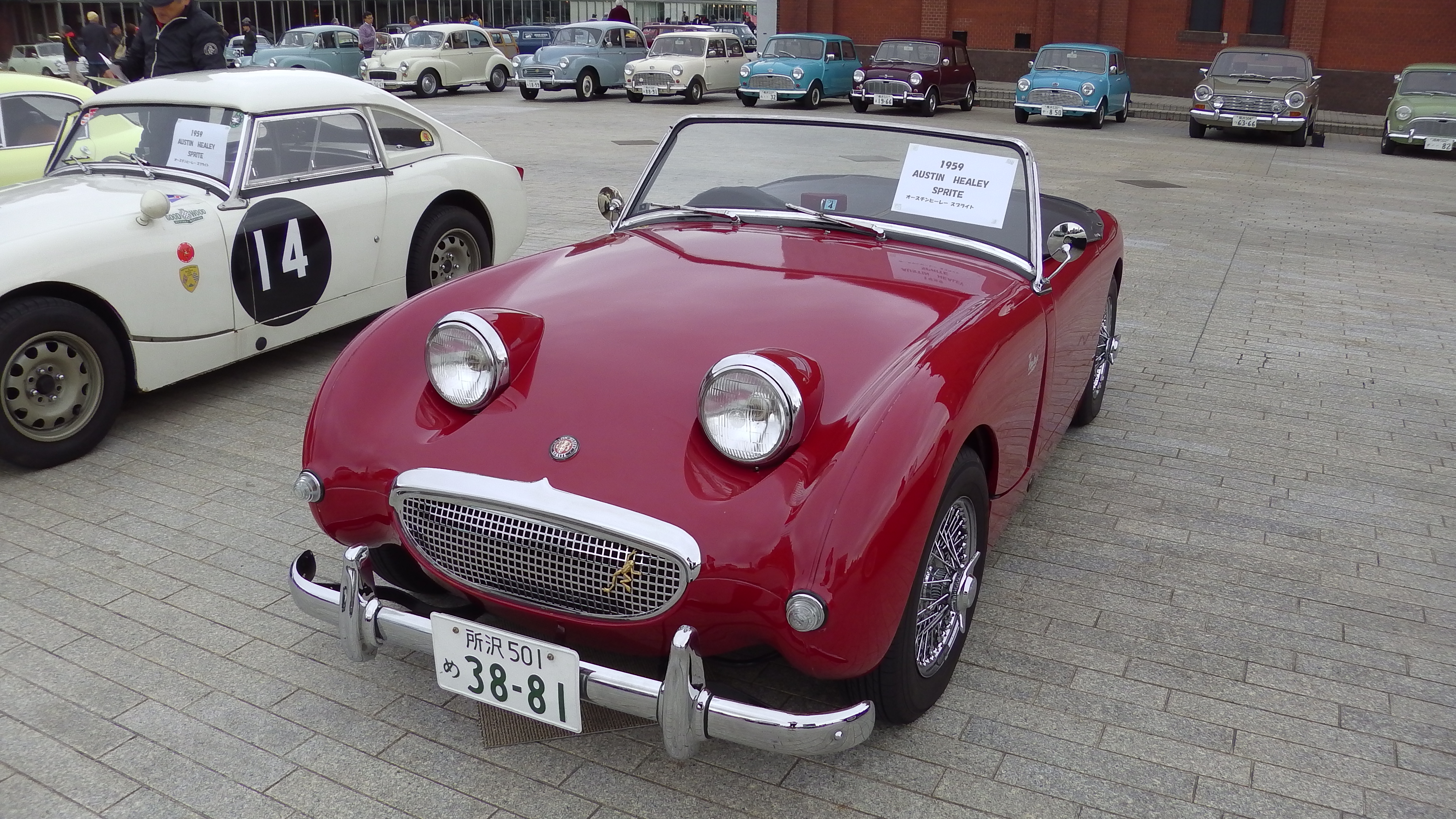IMGA0075.JPG