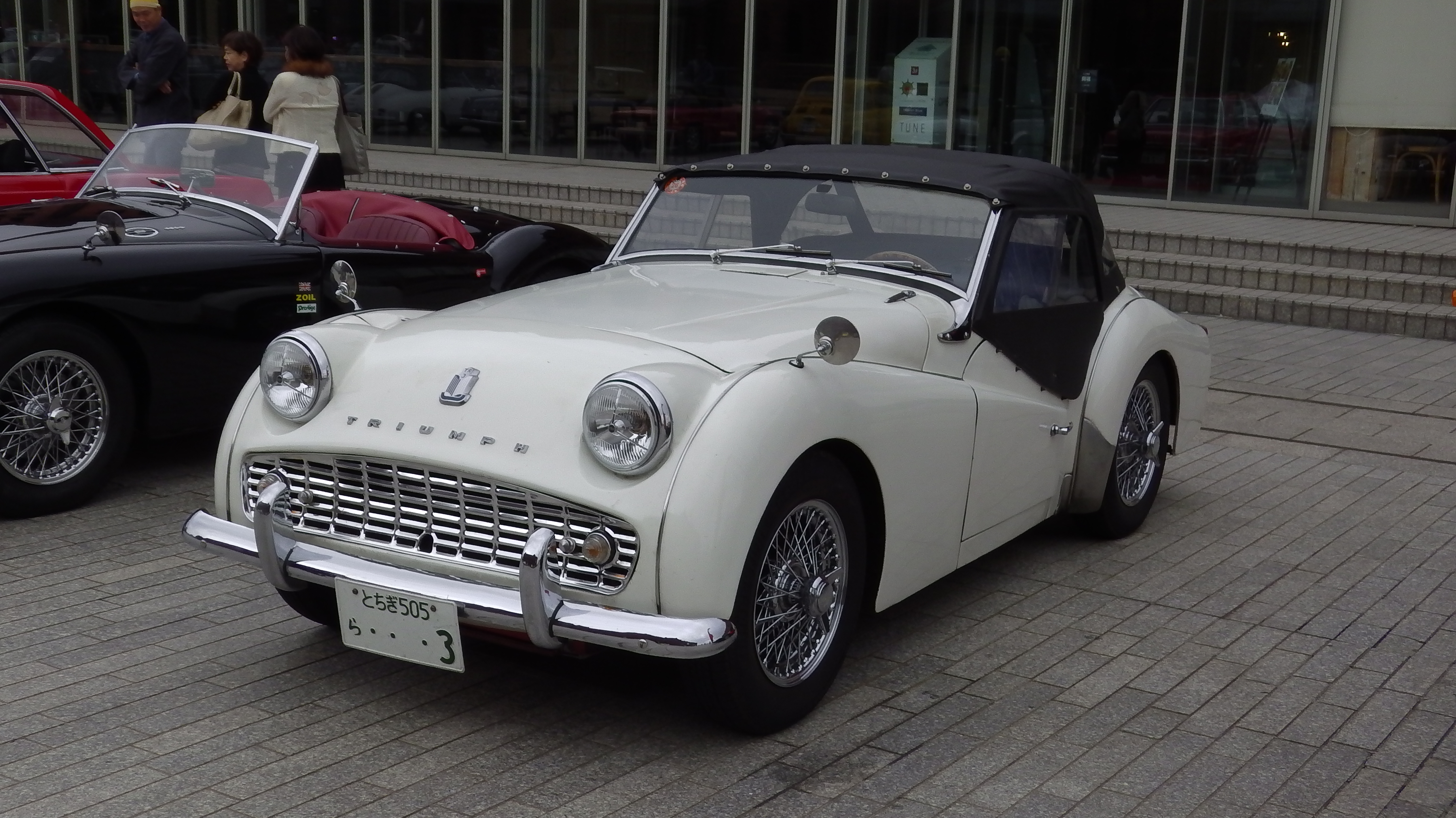 IMGA0084.JPG