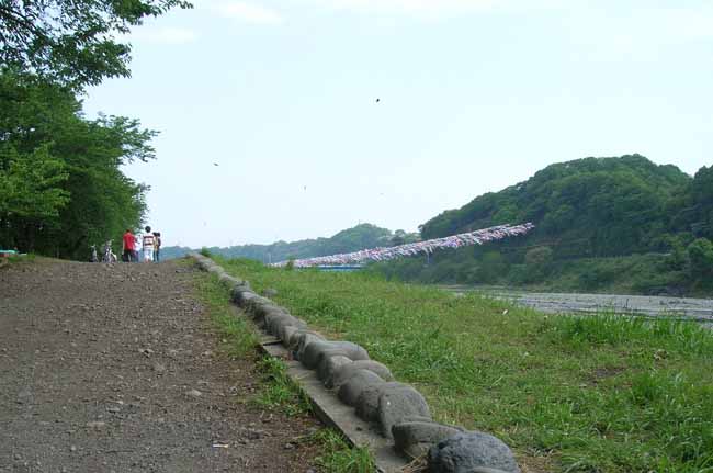02.jpg