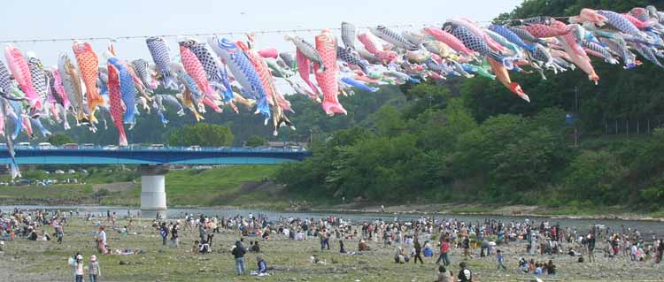 03.jpg