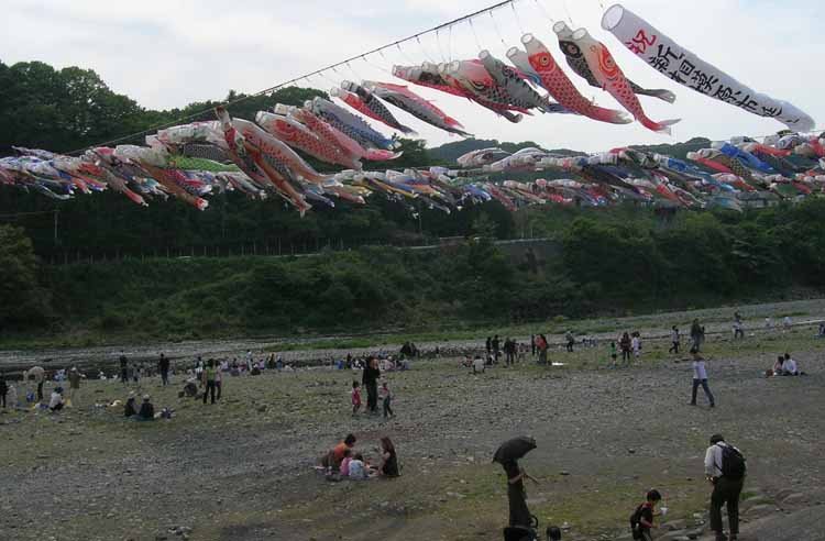 05.jpg