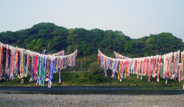01.jpg