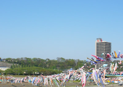 02.jpg