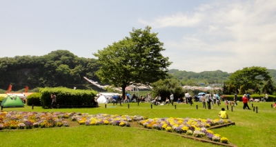 06.jpg