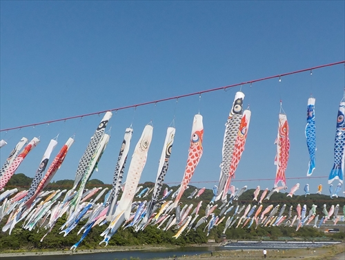05.jpg