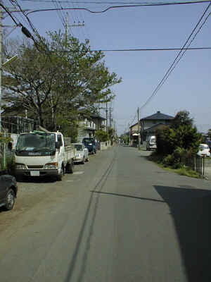 0005035.jpg (113232 oCg)
