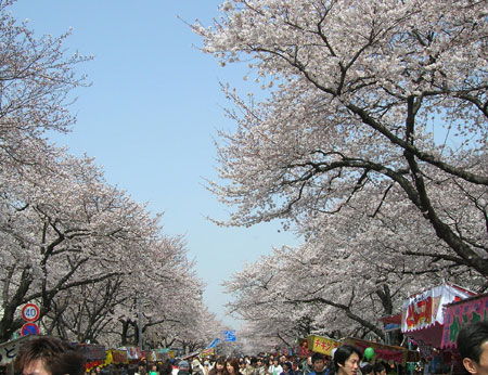 02.jpg