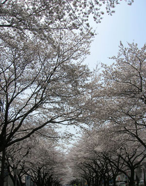 05.jpg