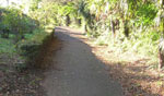 相模川散策路