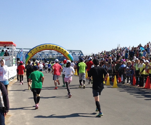 タートル2014