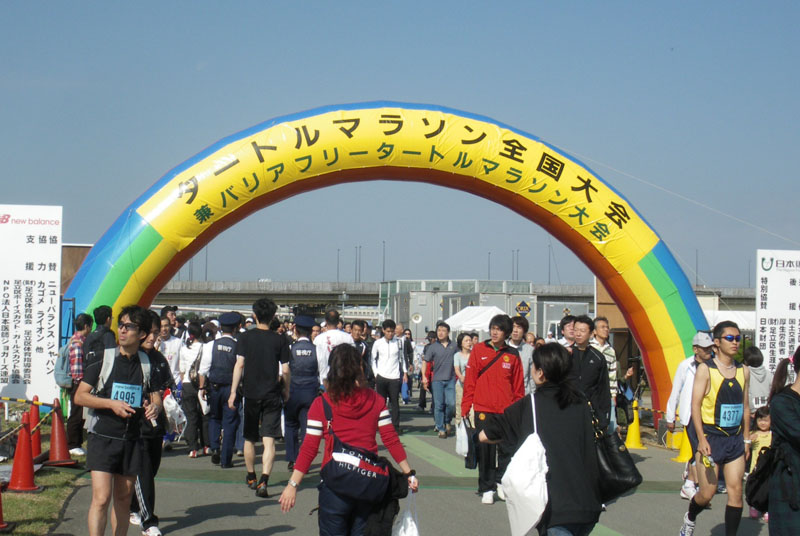 タートル