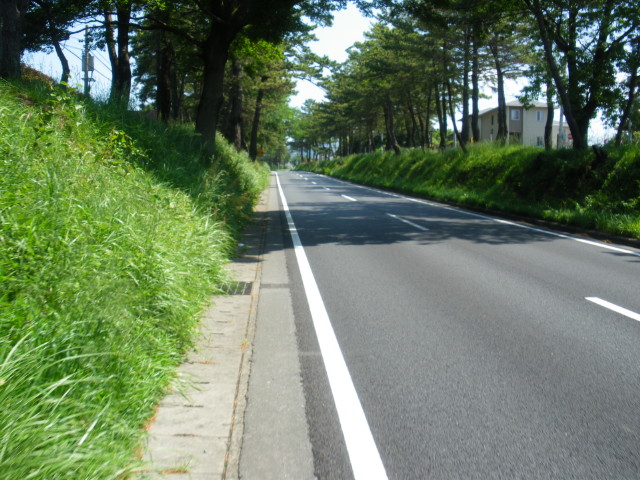 img0006.jpg