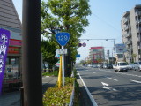 静岡
