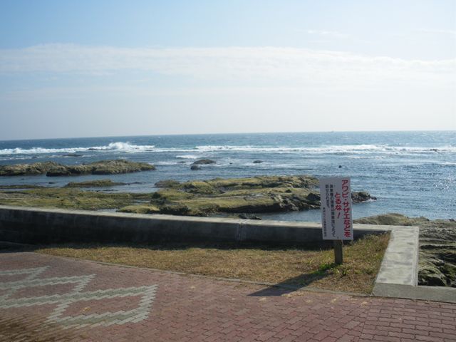img0007.jpg