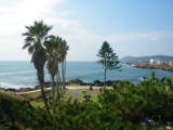 img0011.jpg