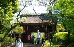 甲州街道