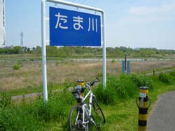 甲州街道