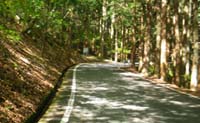 甲州街道