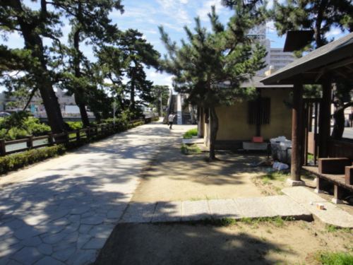 03.jpg
