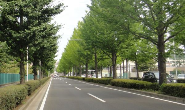 奥州街道
