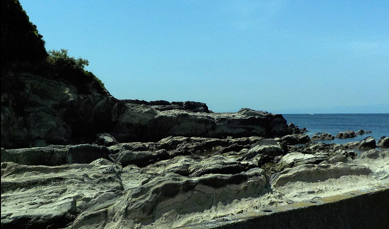 06.jpg