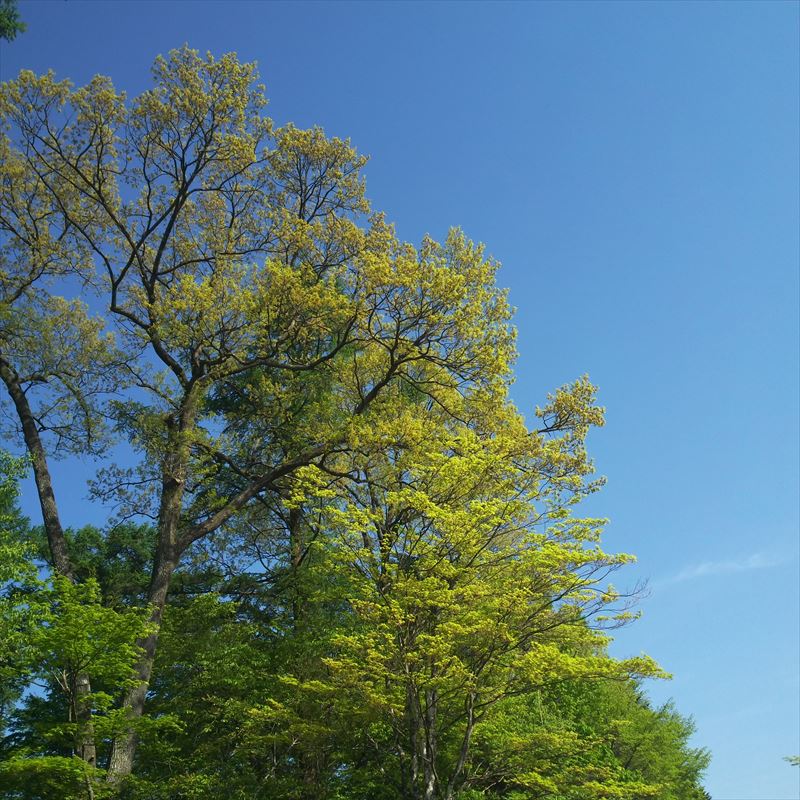 DSCN0136.JPG