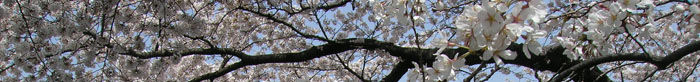 20060401