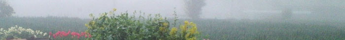 20060413