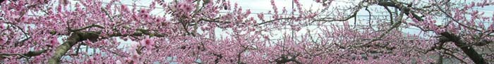 20060416