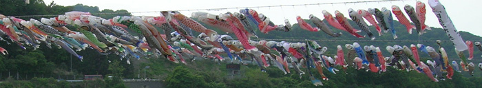 20060505