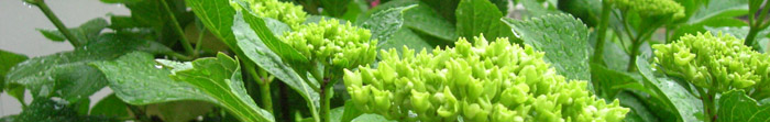 20060528