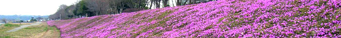 20070317