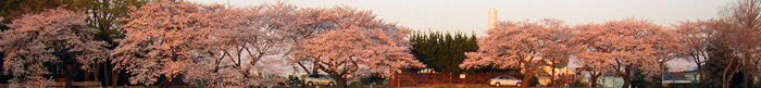 20080401