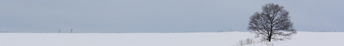 20090110
