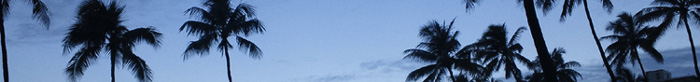 20101212