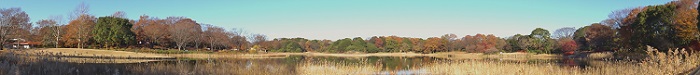 20131130