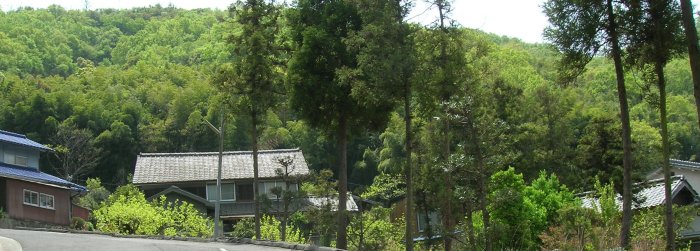 06.jpg