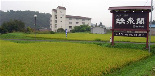 01.jpg
