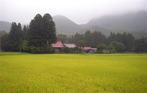 03.jpg