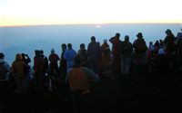 11-0450.jpg