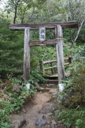 ここから始まり