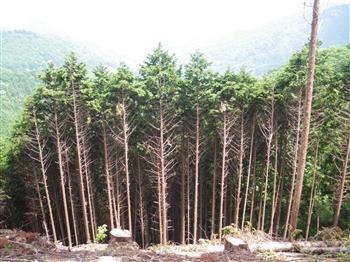 06.jpg