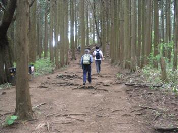 09.jpg