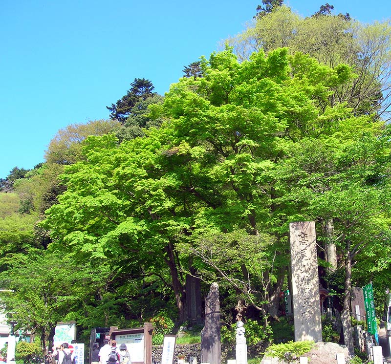 清滝駅入り口