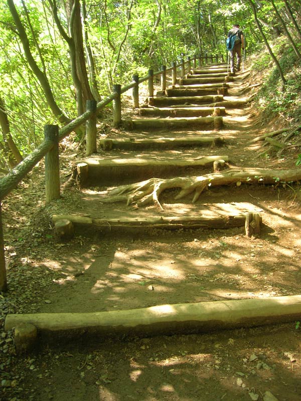稲荷山コース