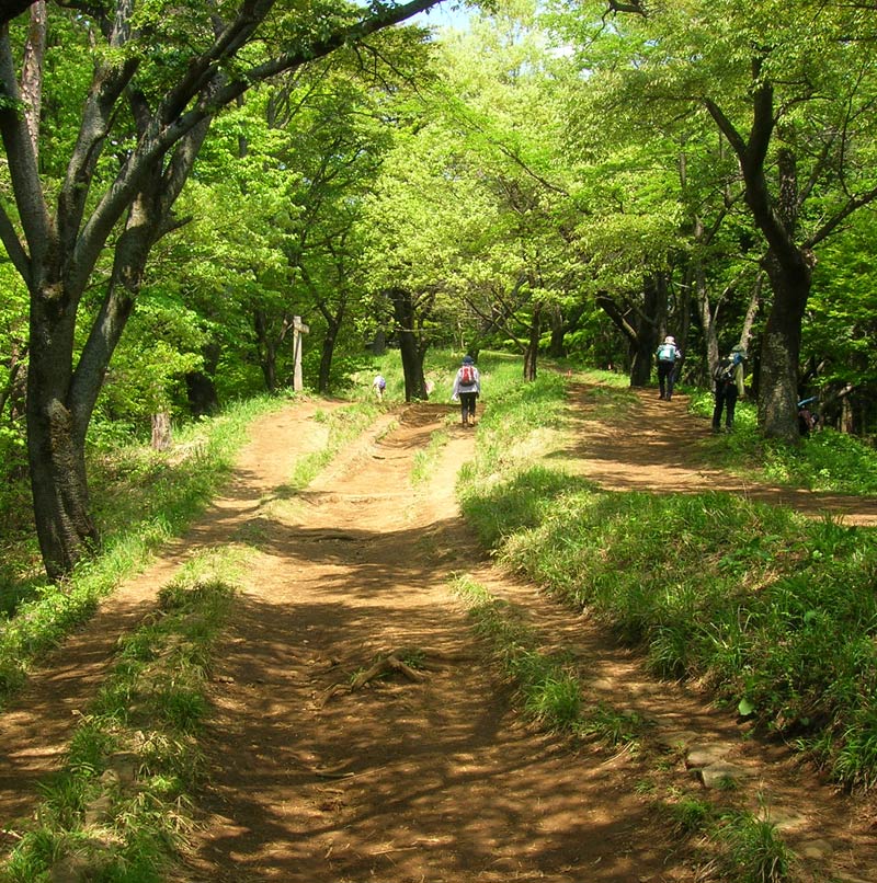 稲荷山コース