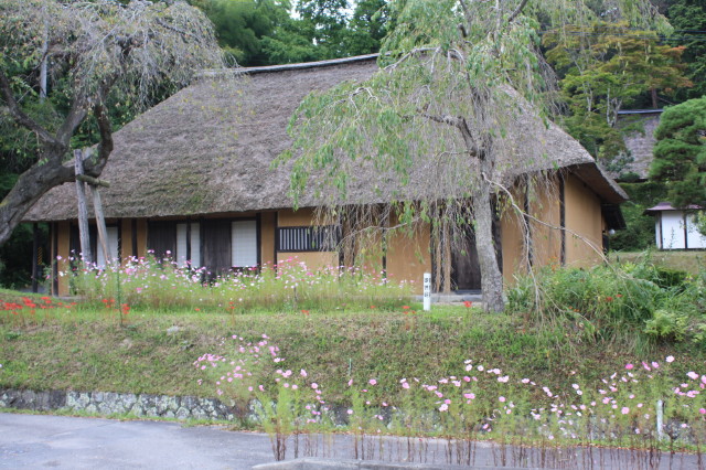 img0012.jpg