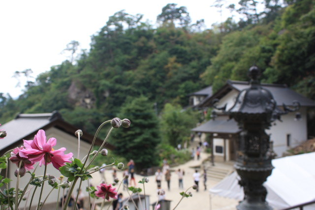 img0020.jpg