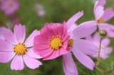 img0009.jpg